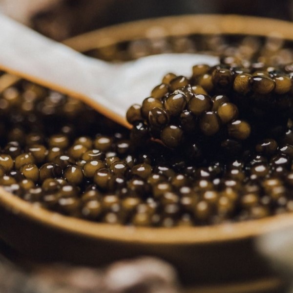 caviar